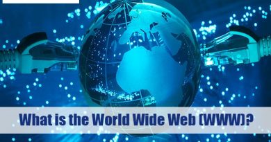 What is the World Wide Web (WWW)?