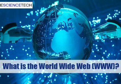 What is the World Wide Web (WWW)?