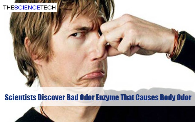 Scientists Discover Bad Odor Enzyme That Causes Body Odor