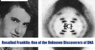Rosalind Franklin: One of the Unknown Discoverers of DNA