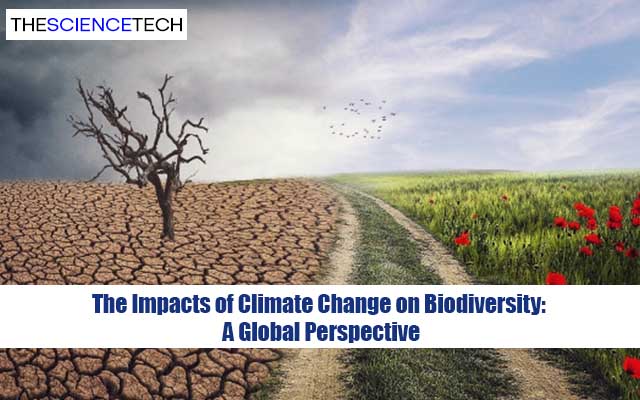 The Impacts of Climate Change on Biodiversity: A Global Perspective