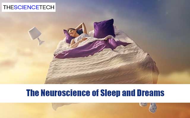 The Neuroscience of Sleep and Dreams: Mechanisms and Functions