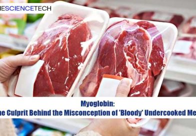 Myoglobin: The Culprit Behind the Misconception of 'Bloody' Undercooked Meat