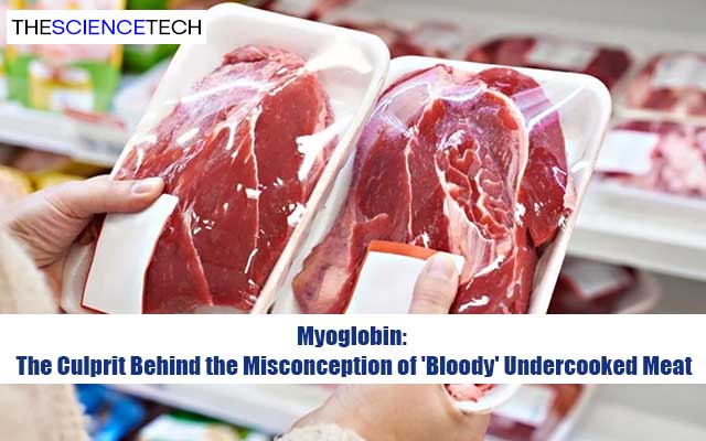 Myoglobin: The Culprit Behind the Misconception of 'Bloody' Undercooked Meat