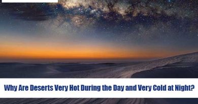Why Are Deserts Very Hot During the Day and Very Cold at Night?
