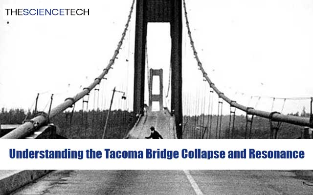 Understanding the Tacoma Bridge Collapse and Resonance