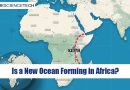 Is a New Ocean Forming in Africa?