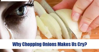 Why Chopping Onions Makes Us Cry?