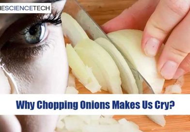 Why Chopping Onions Makes Us Cry?